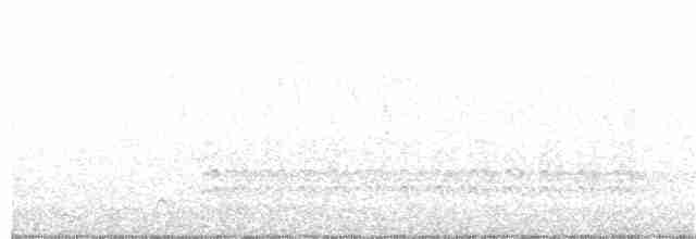 Weißbrustkleiber [lagunae-Gruppe] - ML163799991