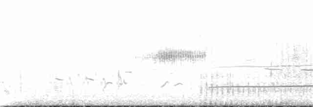 Uzun Gagalı Kervançulluğu - ML163811961