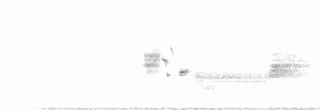 Приморская овсянка-барсучок - ML163829531
