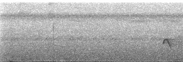Gelbbrust-Ameisenschnäpper - ML163839
