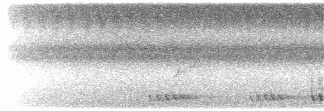 Turuncu Alınlı Barbet - ML163839001