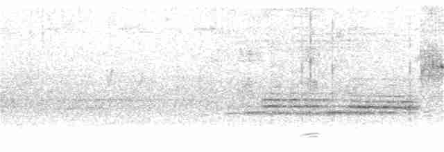 ニシヒメアマツバメ - ML163854431