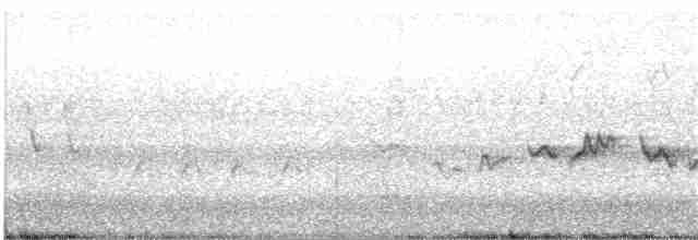 Светлобровый виреон - ML163881351
