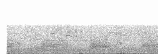 Берестянка бліда - ML163884981