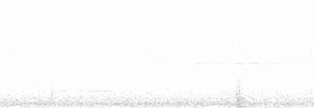 Weißstirnamazone - ML163930