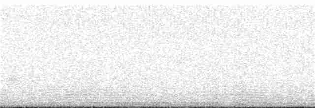 Цинантус синьогорлий - ML163956231