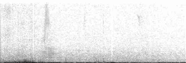 Серогрудый тиранн - ML163956371