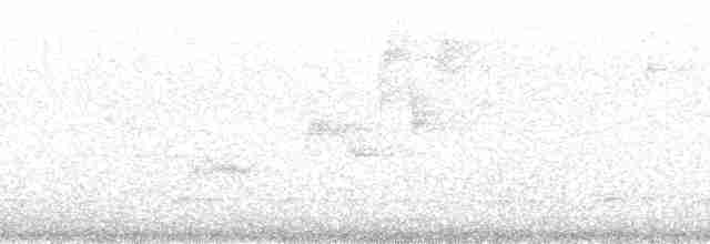 Ласточковая эуфония - ML163959