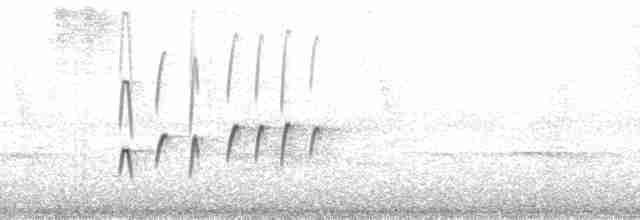 Moucherolle huppé (aurantiiventris) - ML163965