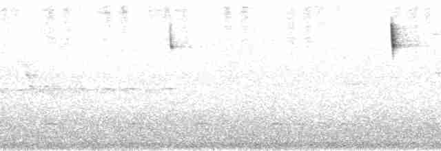 Slate-throated Redstart - ML163966