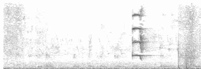 Common Gallinule - ML163970311