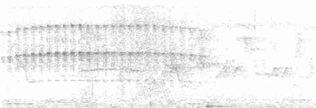 strakapoud hnědohlavý - ML163972341