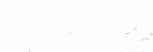 Western Olivaceous Warbler - ML163991481