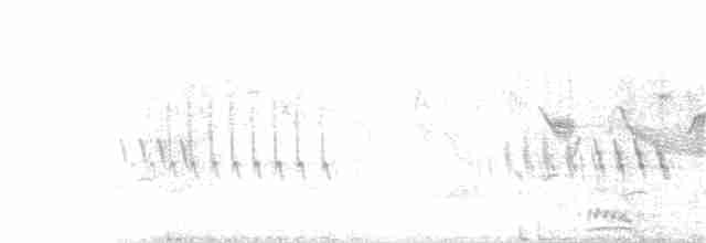 אנפית גמדית (אירואסייתית) - ML164033321