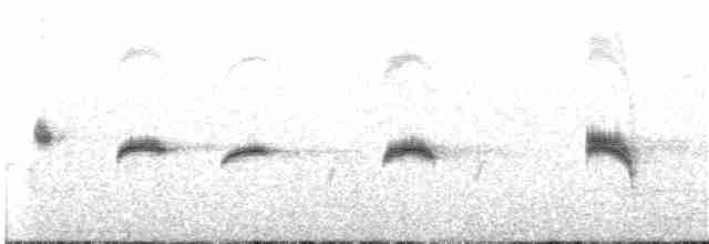 Каньонный крапивник - ML164044621