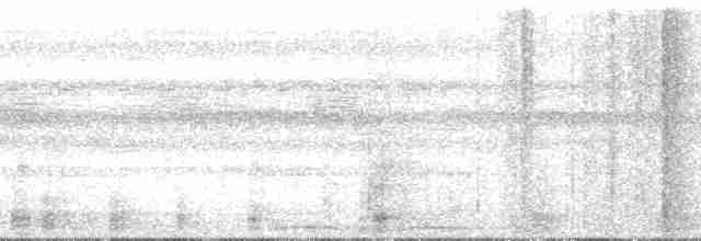 båtnebbhegre (cochlearius/panamensis) - ML164052
