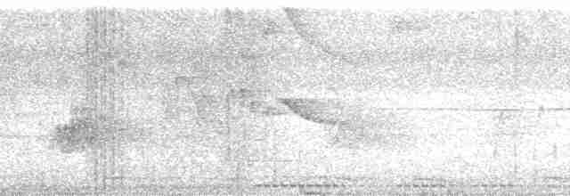 Slate-headed Tody-Flycatcher - ML164062