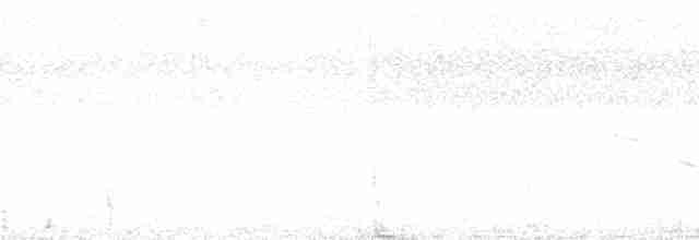 Морщинистоклювая ани - ML164063