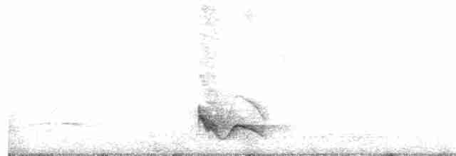 Swallow-tailed Manakin - ML164063991