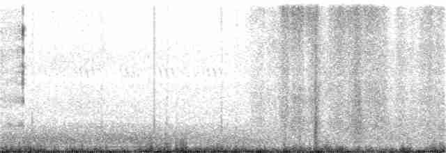 Сероголовый виреон - ML164073621