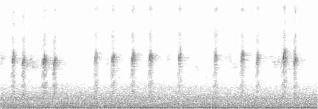 Bulbul à oreillons blancs - ML164102841