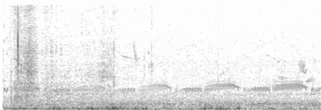 Beringstrandläufer (tschuktschorum) - ML164147131