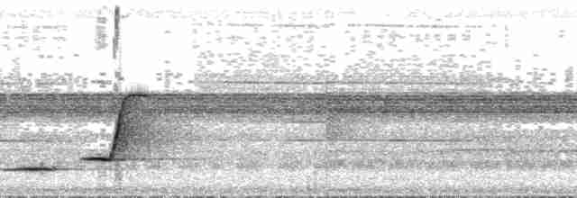 Mangrove Whistler - ML164159