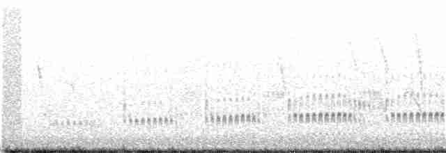 Побережник берингійський (підвид tschuktschorum) - ML164182011