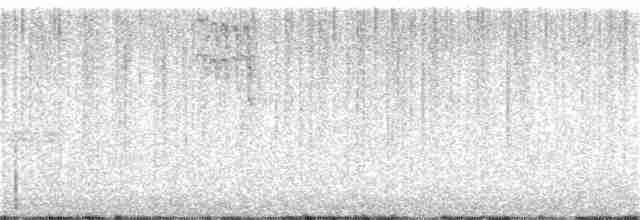 Black-throated Gray Warbler - ML164188241