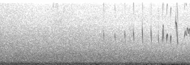 Martinet sombre (borealis) - ML164200