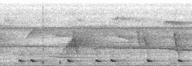 Harlekinbartvogel - ML164214