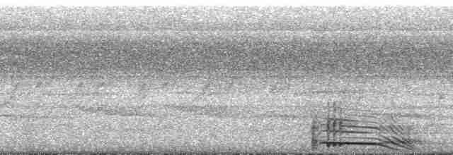 holub zelenošedý - ML164220