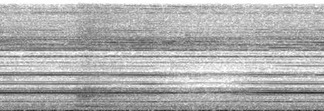 Борнейская воронья кукушка - ML164230