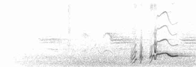 Gray-crowned Babbler - ML164231331