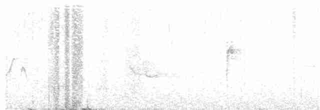 Червоїд сіроголовий - ML164294081