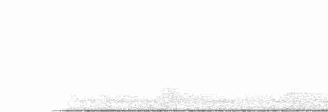 Common Tern - ML164303541