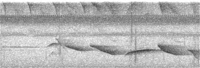 Troglodyte de Nava - ML164324721
