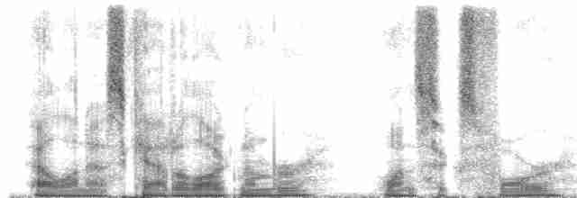 skjeggerygone (palpebrosa gr.) - ML164326