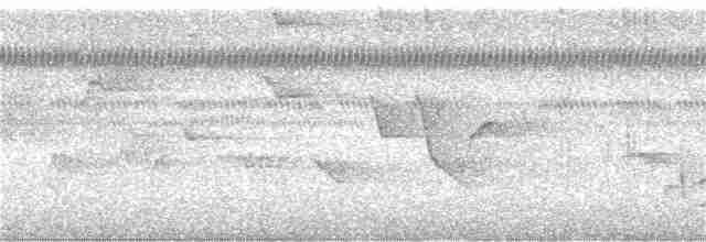Troglodyte de Nava - ML164326091