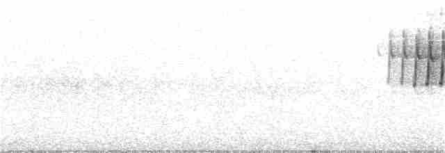 Paruline verdâtre - ML164328311