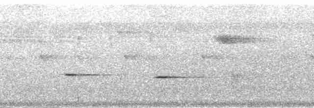 Gray Whistler (Gray-headed) - ML164353
