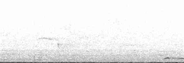 Bar-shouldered Dove - ML164353101