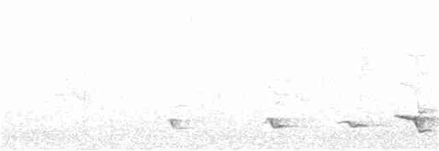 Black-tailed Whistler - ML164365281