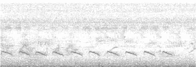 Кратеропа смугастоголова - ML164399461