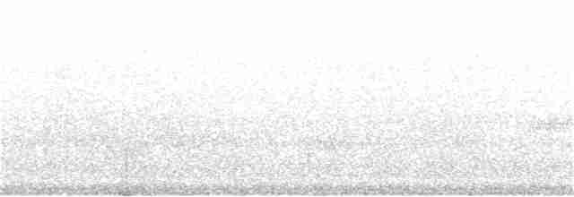lesňáček černobílý - ML164410061