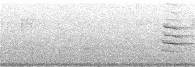 drozdec černohlavý - ML164415541