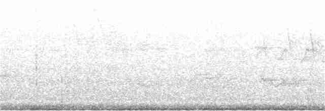 lesňáček modropláštíkový - ML164415601