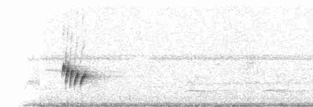 Pembe Gerdanlı Ardıç Tangarası - ML16444