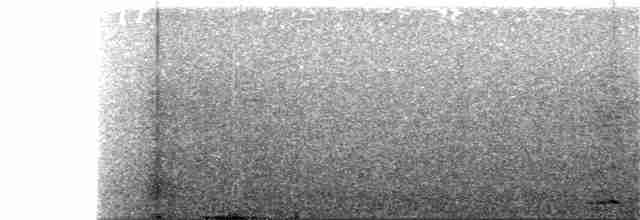 Blyth's Reed Warbler - ML164448831