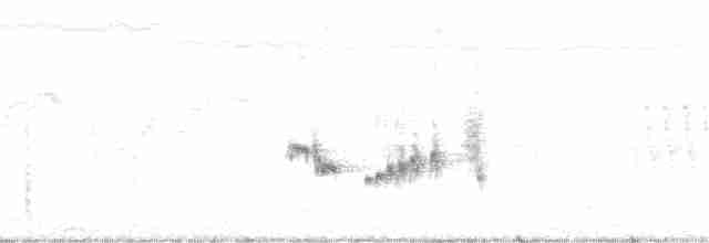 Agrobate roux (groupe galactotes) - ML164468891